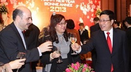 New Year get-togethers for diplomatic corps, foreign organizations - ảnh 1